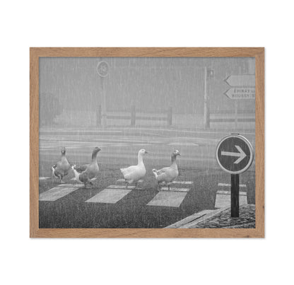 Pedestrians