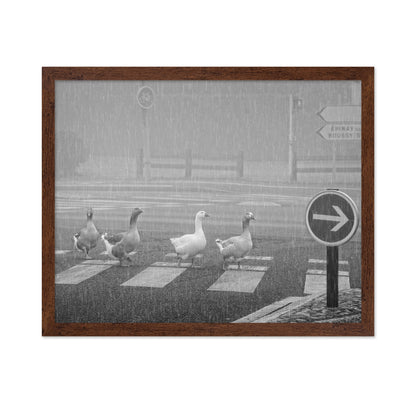 Pedestrians