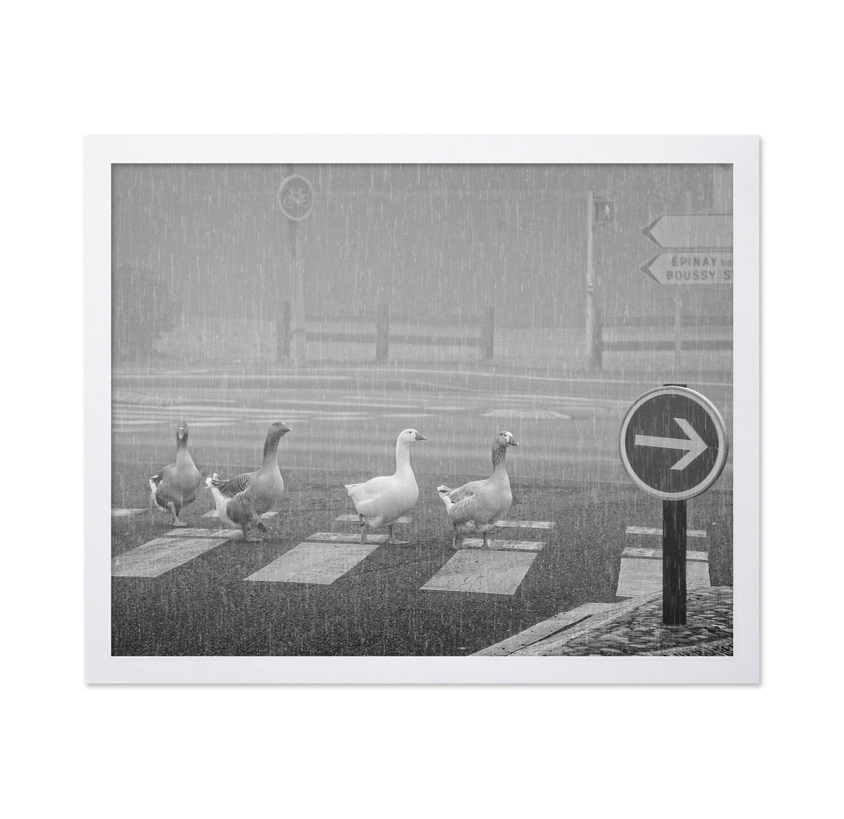 Pedestrians