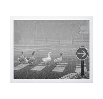 Pedestrians