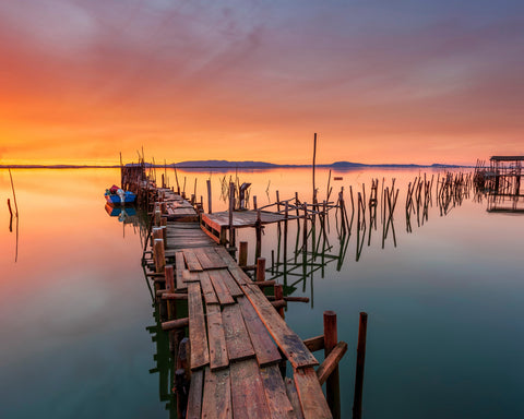 The Last Light