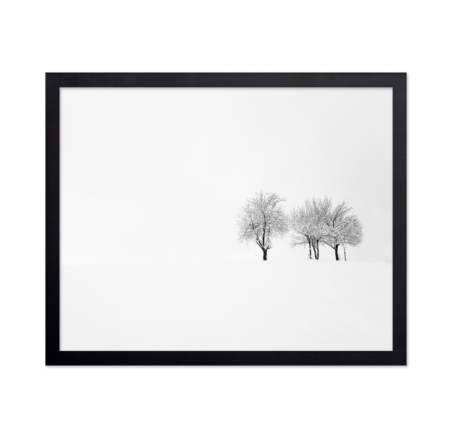 Tree and Silence