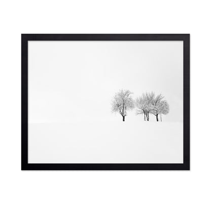Tree and Silence