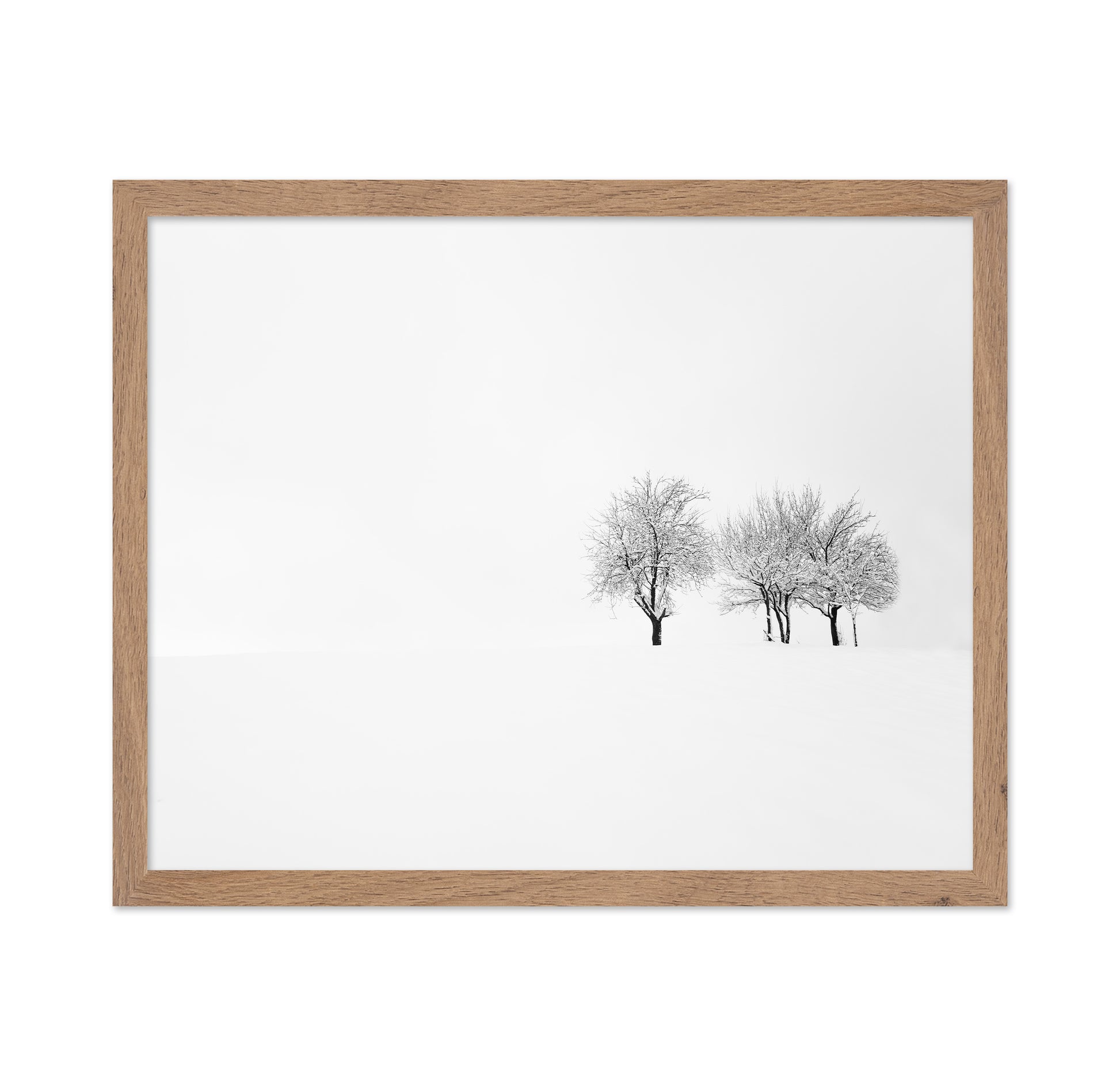 Tree and Silence