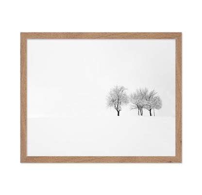 Tree and Silence