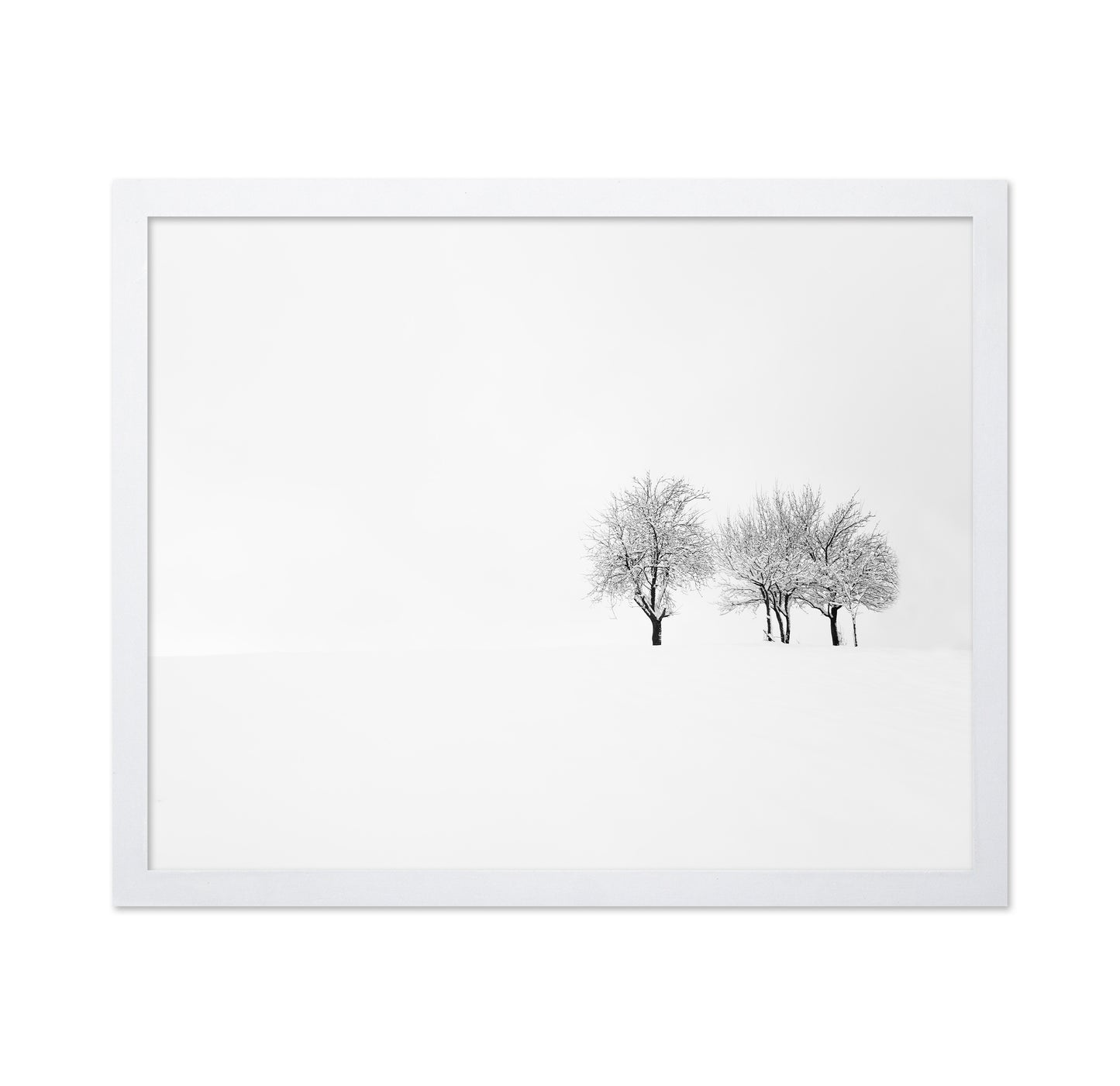 Tree and Silence
