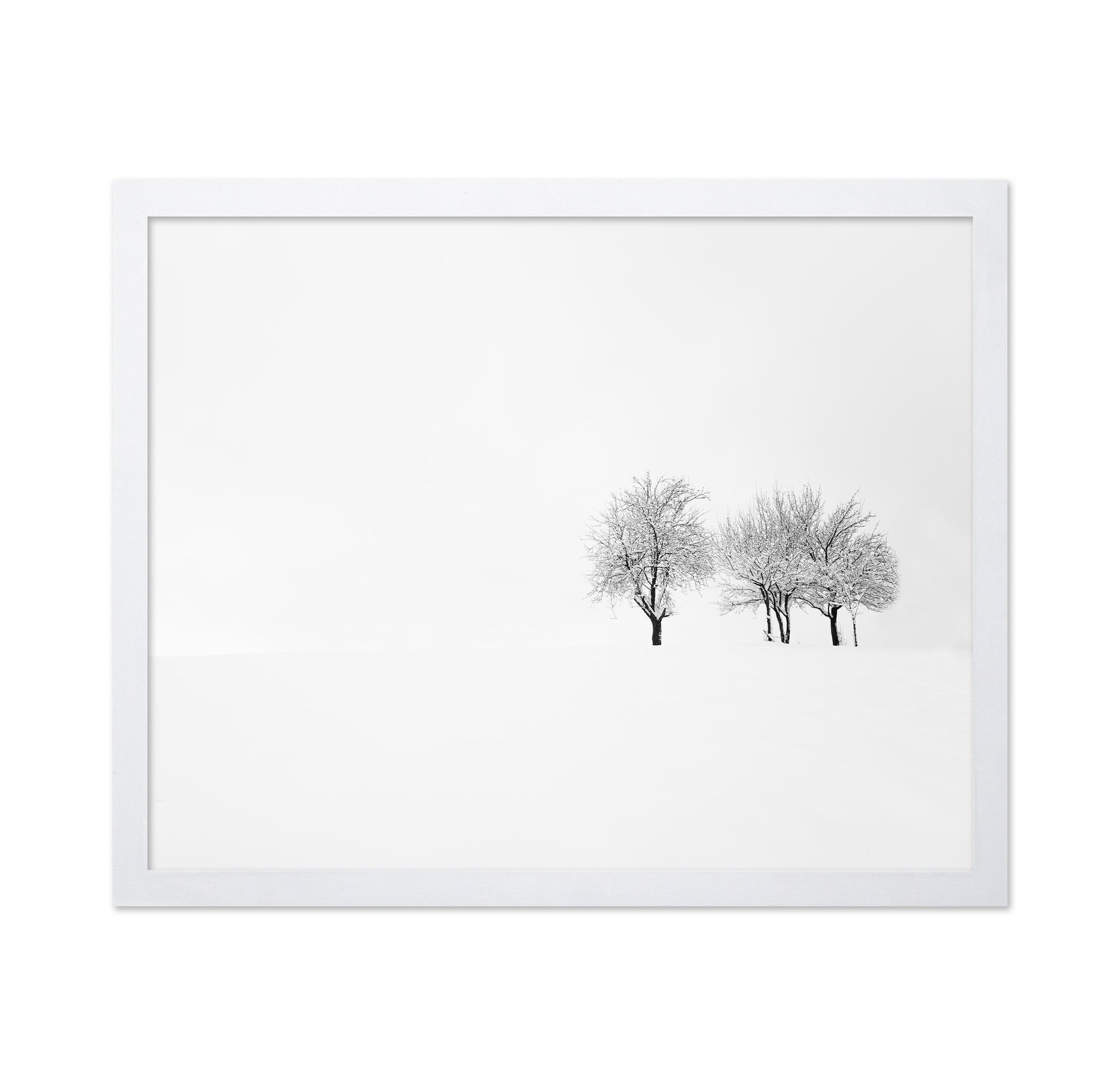 Tree and Silence