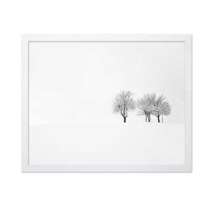 Tree and Silence