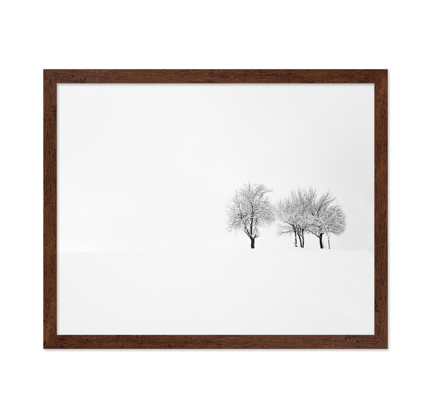 Tree and Silence