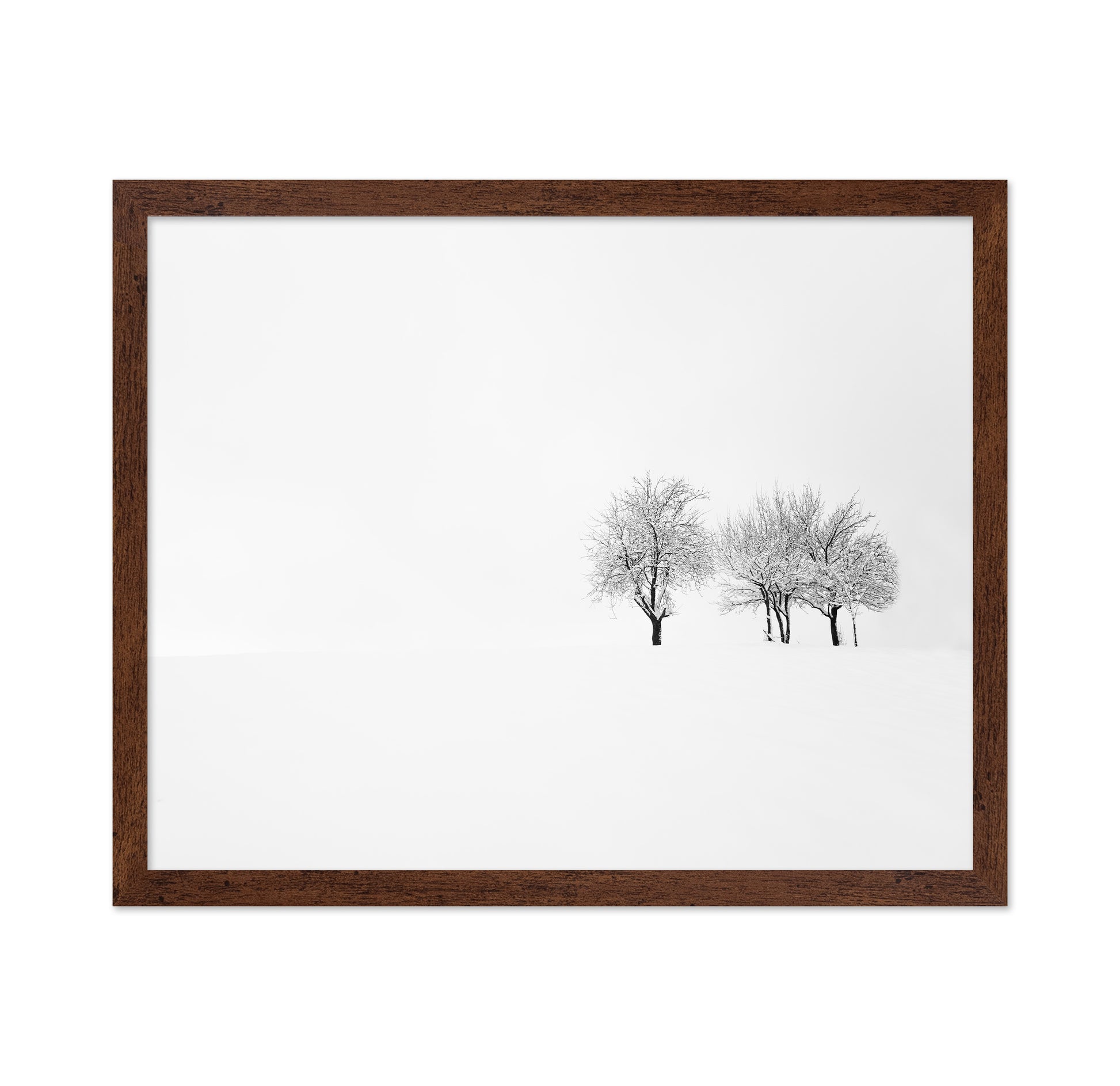 Tree and Silence
