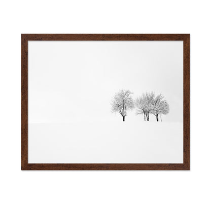 Tree and Silence