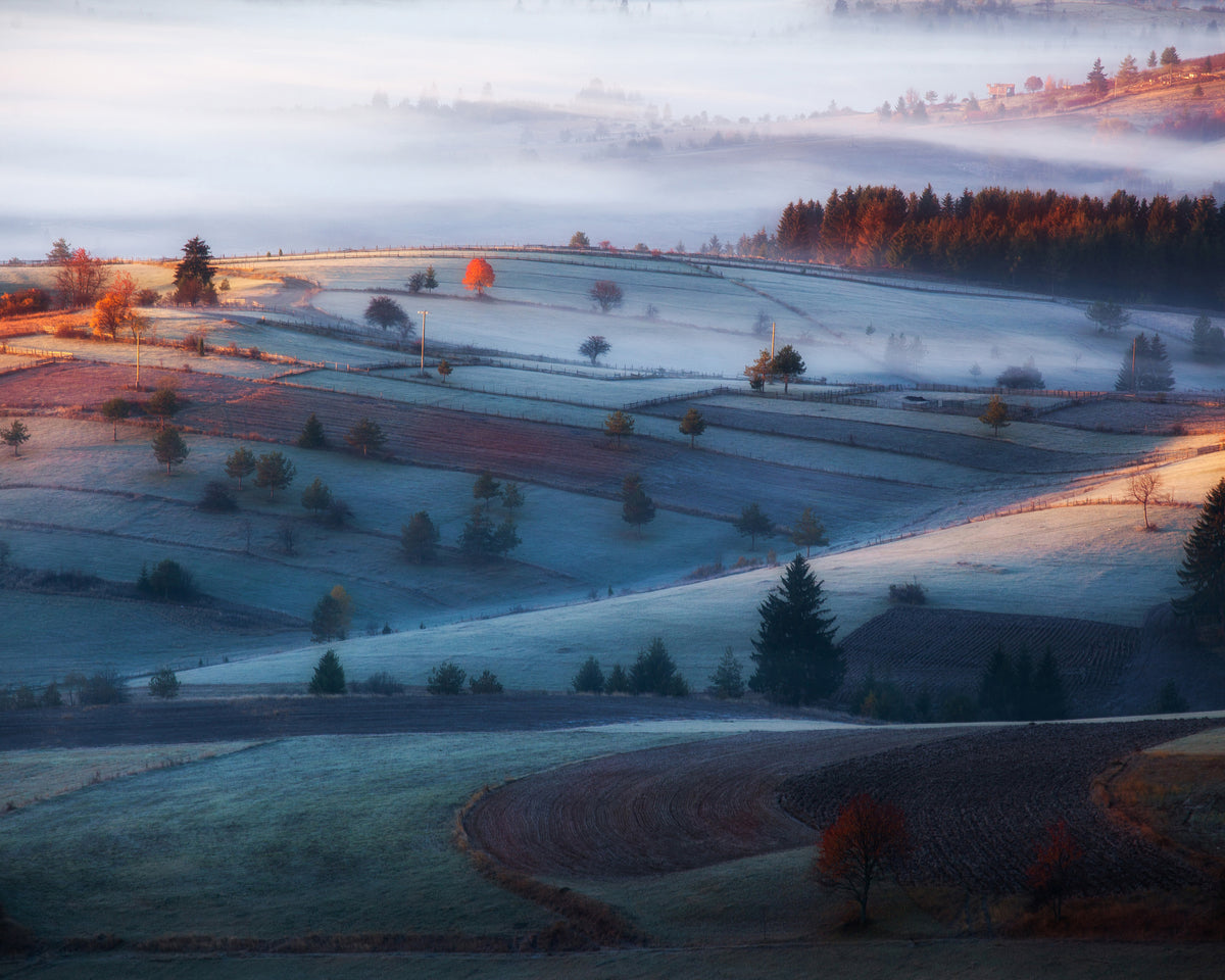 Fog in the Hills