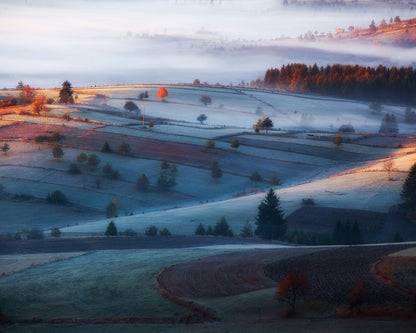 Fog in the Hills