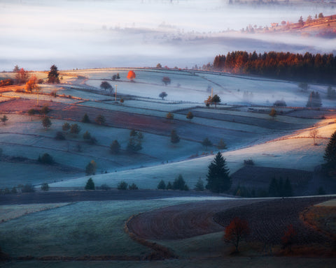 Fog in the Hills