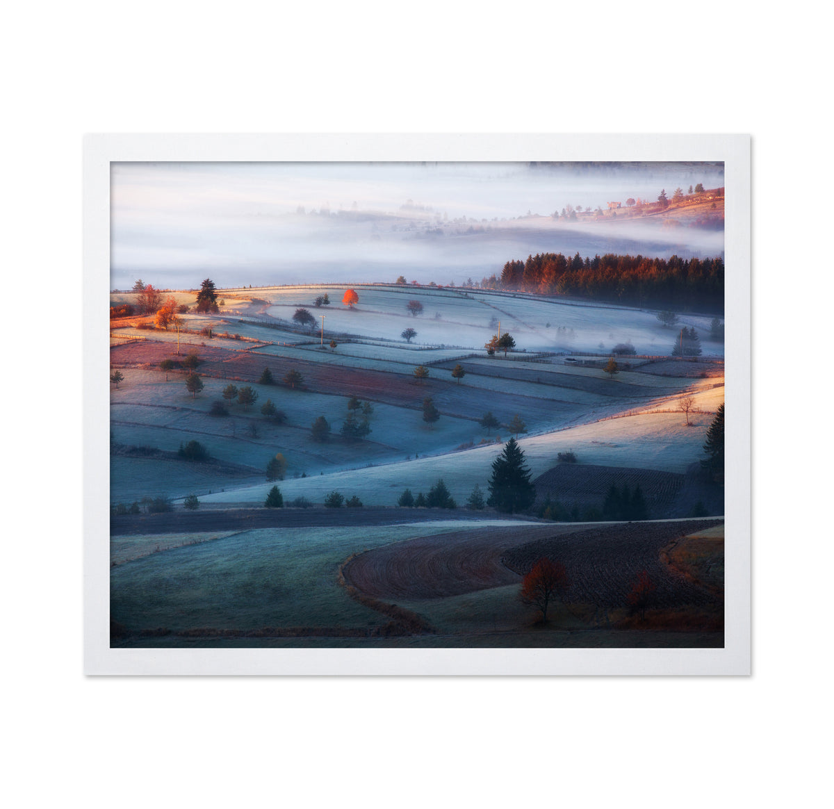 Fog in the Hills