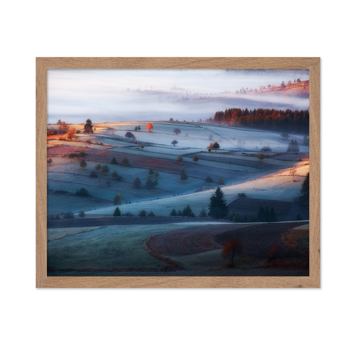 Fog in the Hills