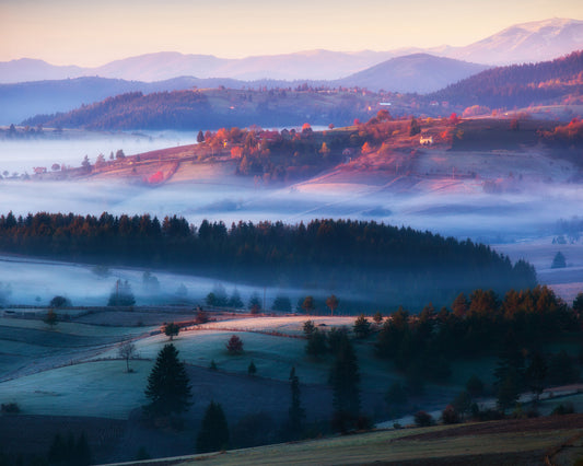 Magical Trails of Mist