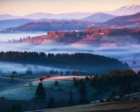 Magical Trails of Mist