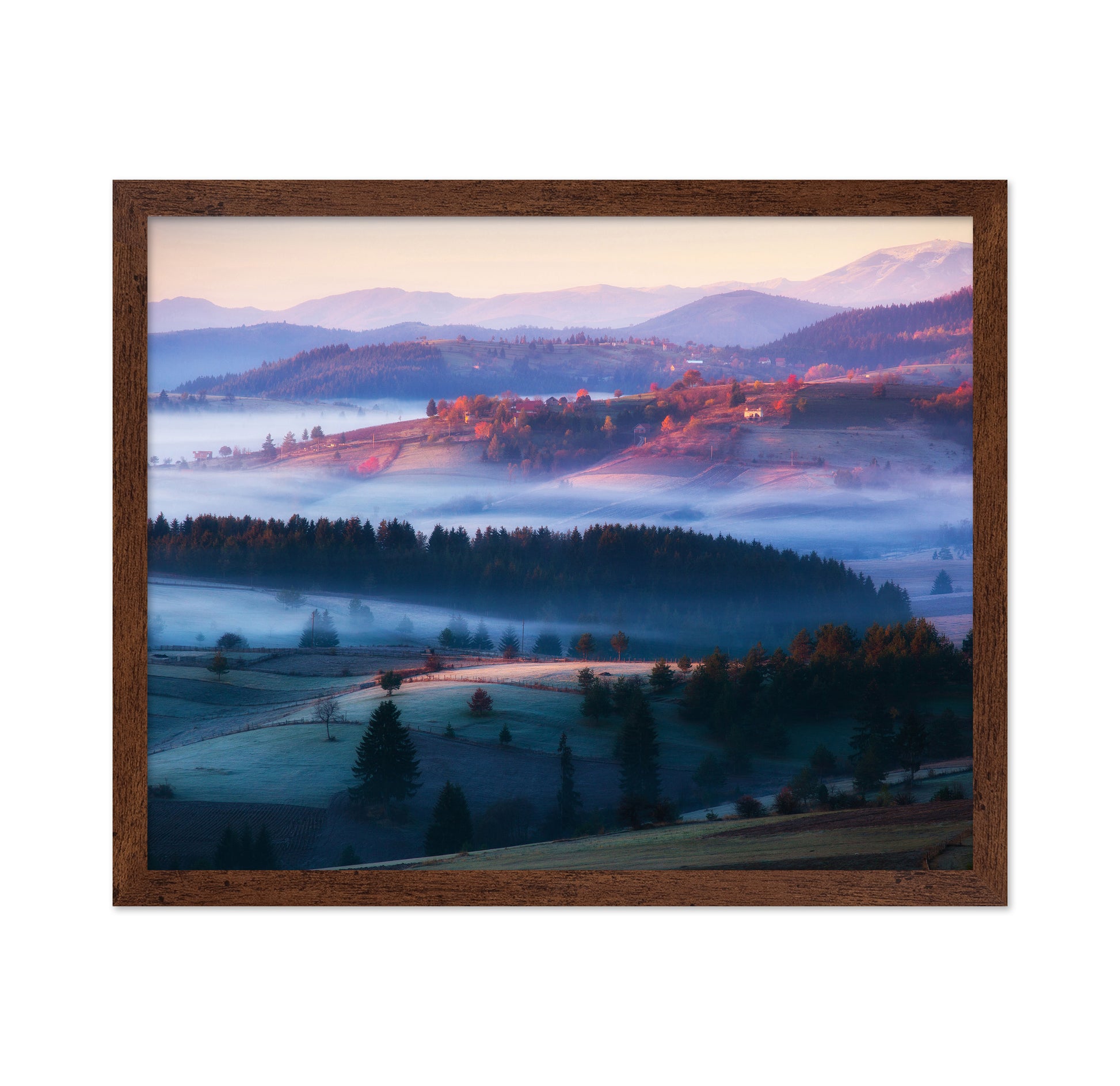 Magical Trails of Mist