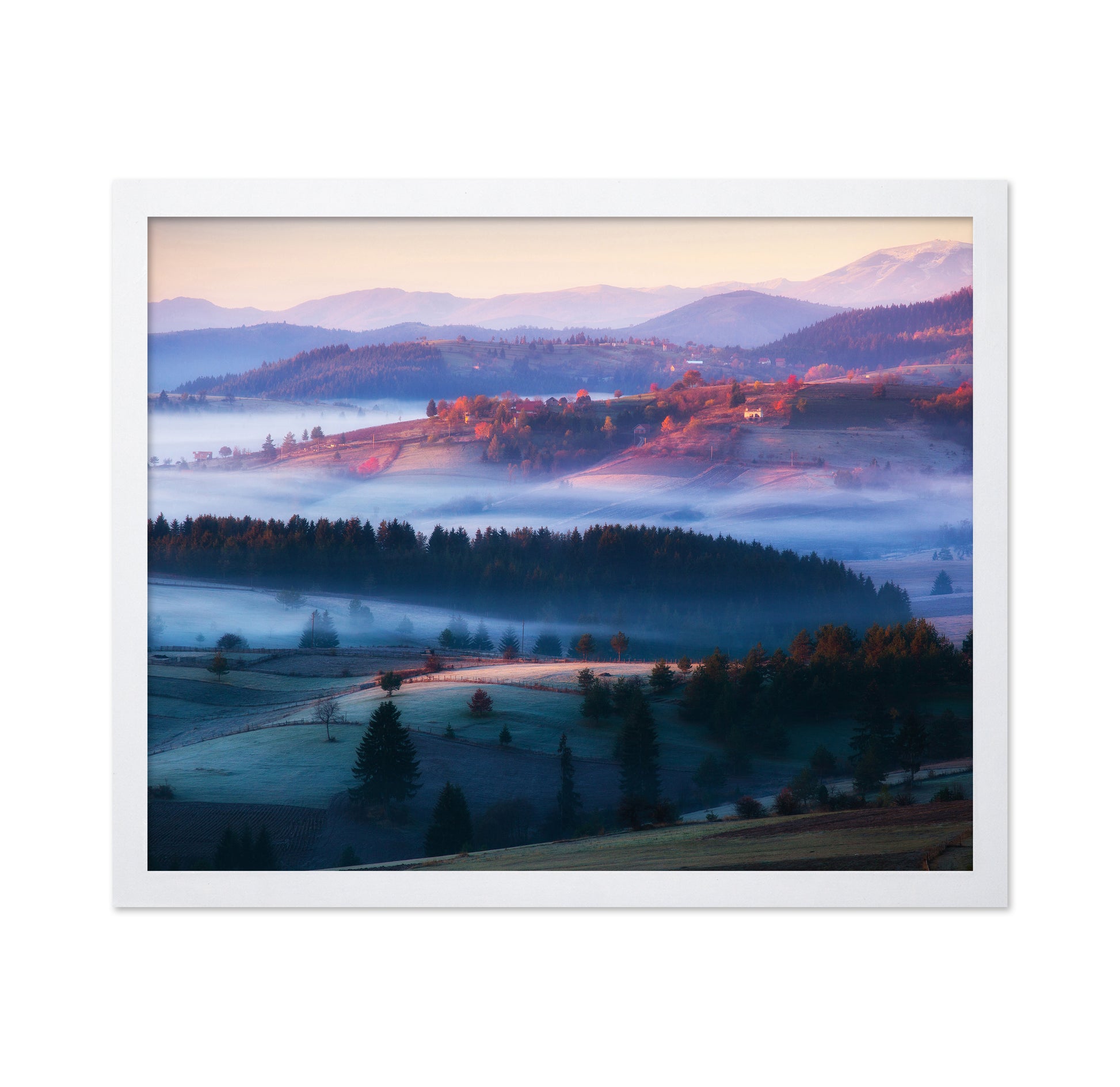 Magical Trails of Mist
