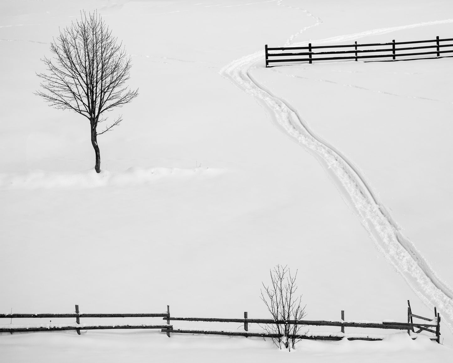 Geometry