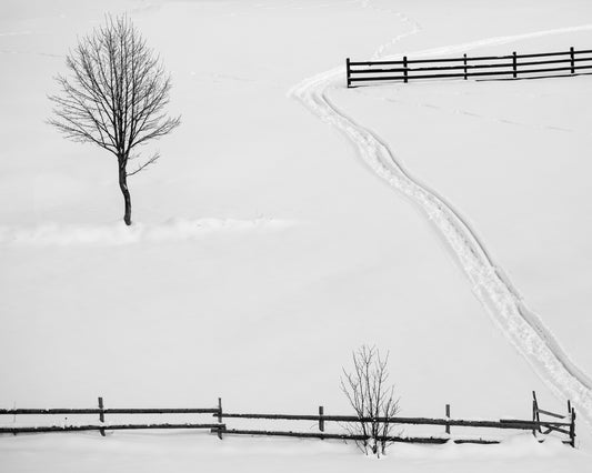 Geometry