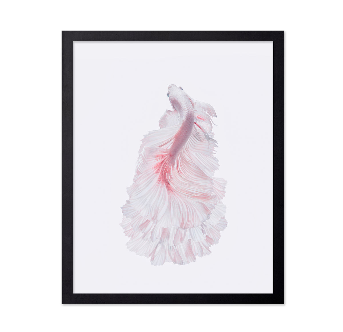 The White Dress