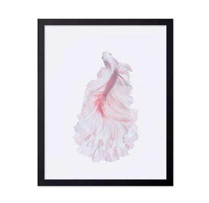 The White Dress