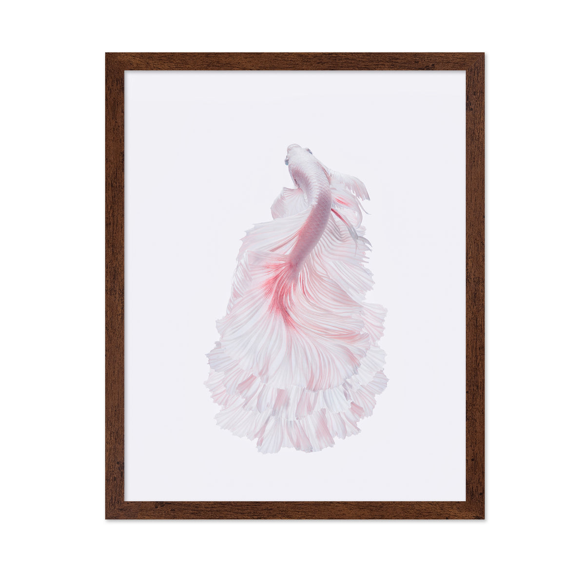 The White Dress