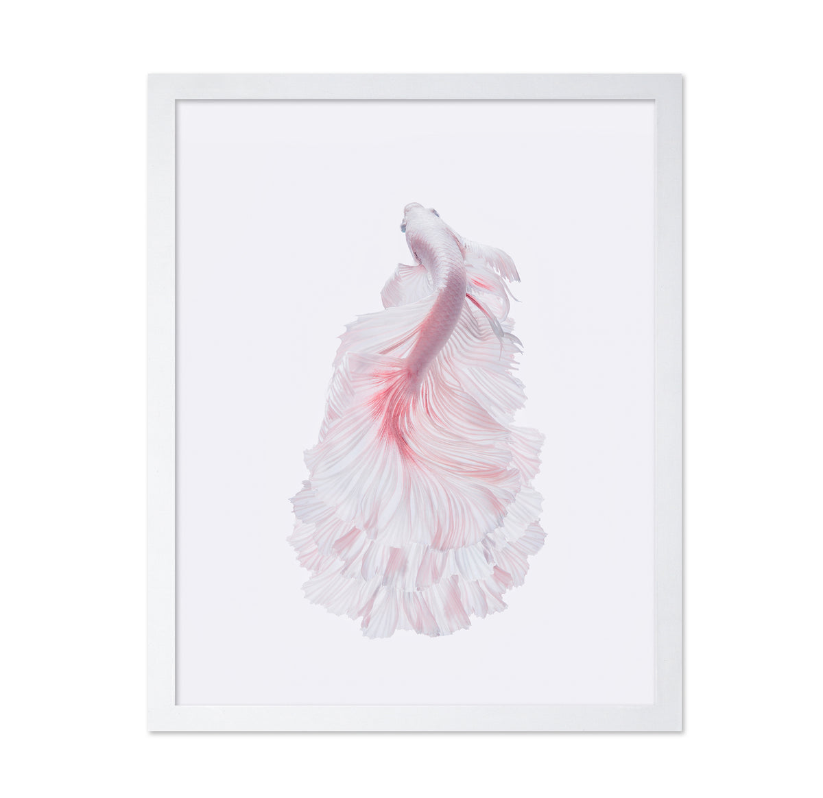 The White Dress