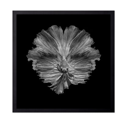 The Flower of Tail