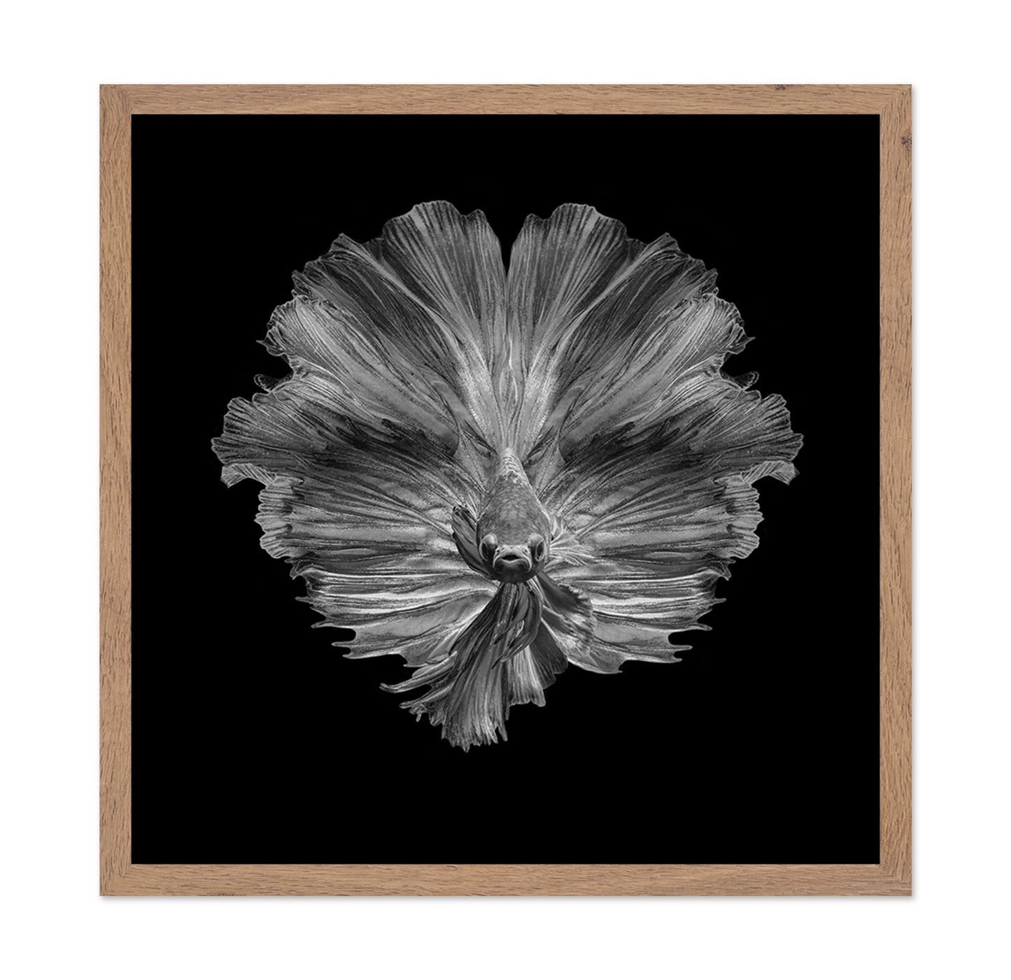 The Flower of Tail