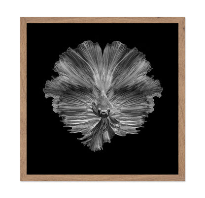 The Flower of Tail