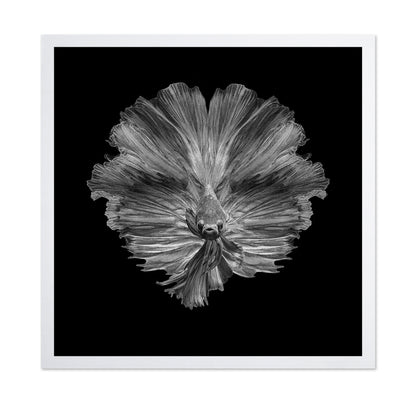 The Flower of Tail