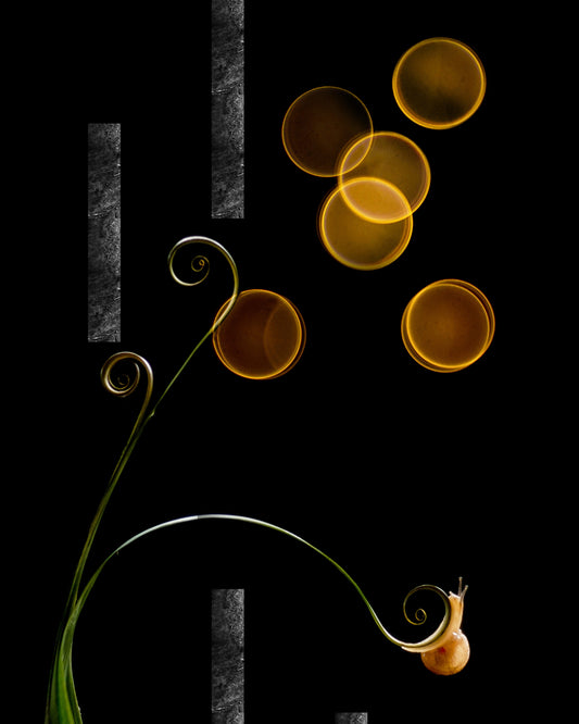 The Snail and Light