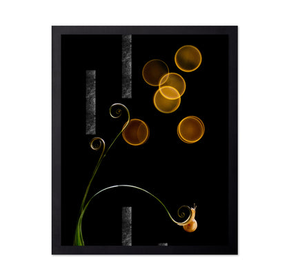 The Snail and Light