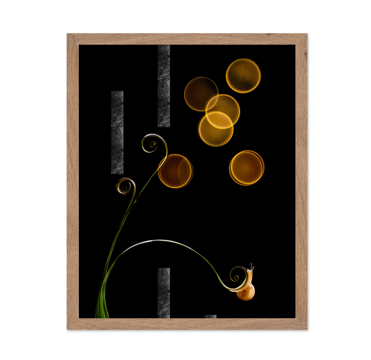 The Snail and Light