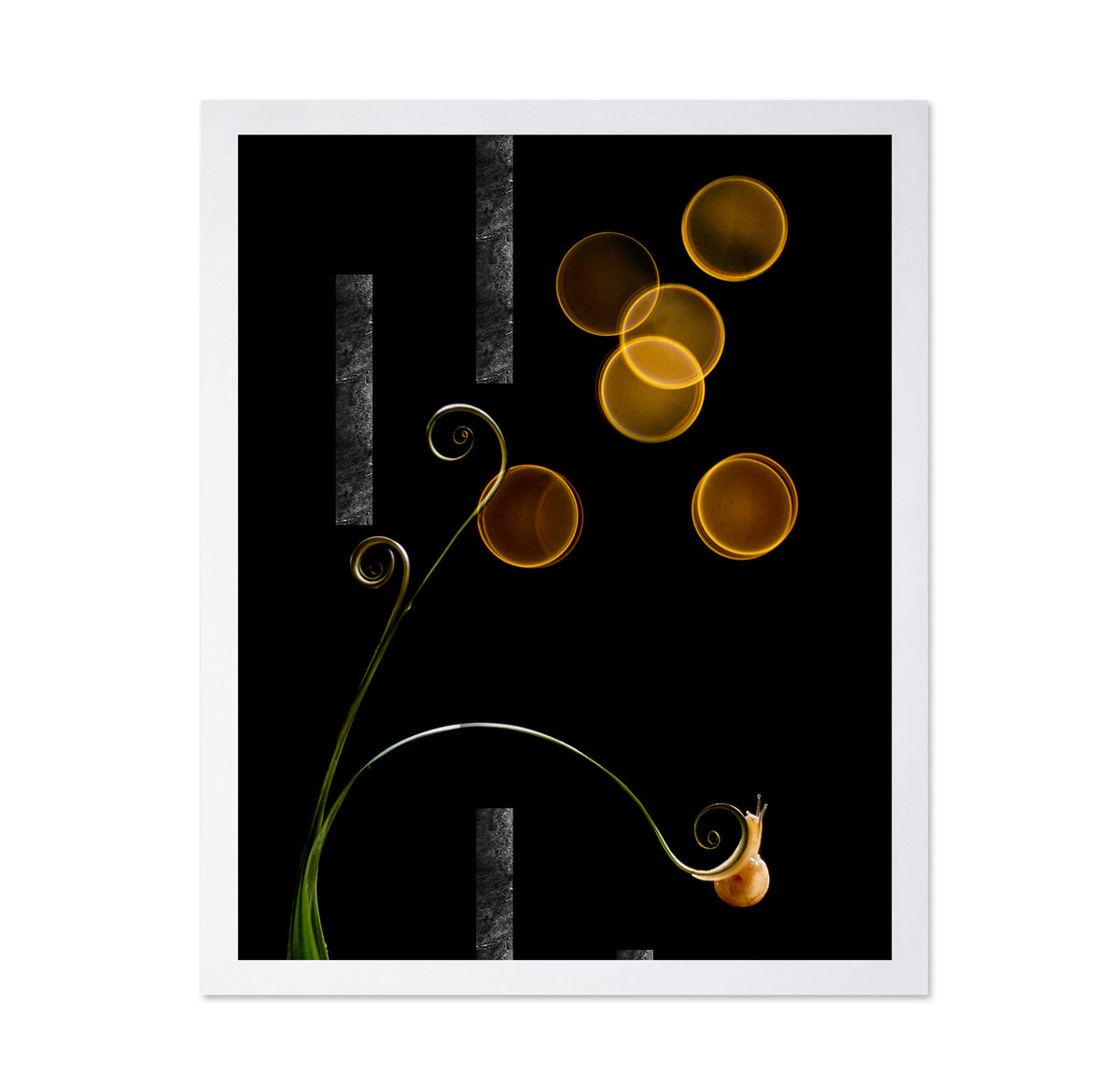 The Snail and Light