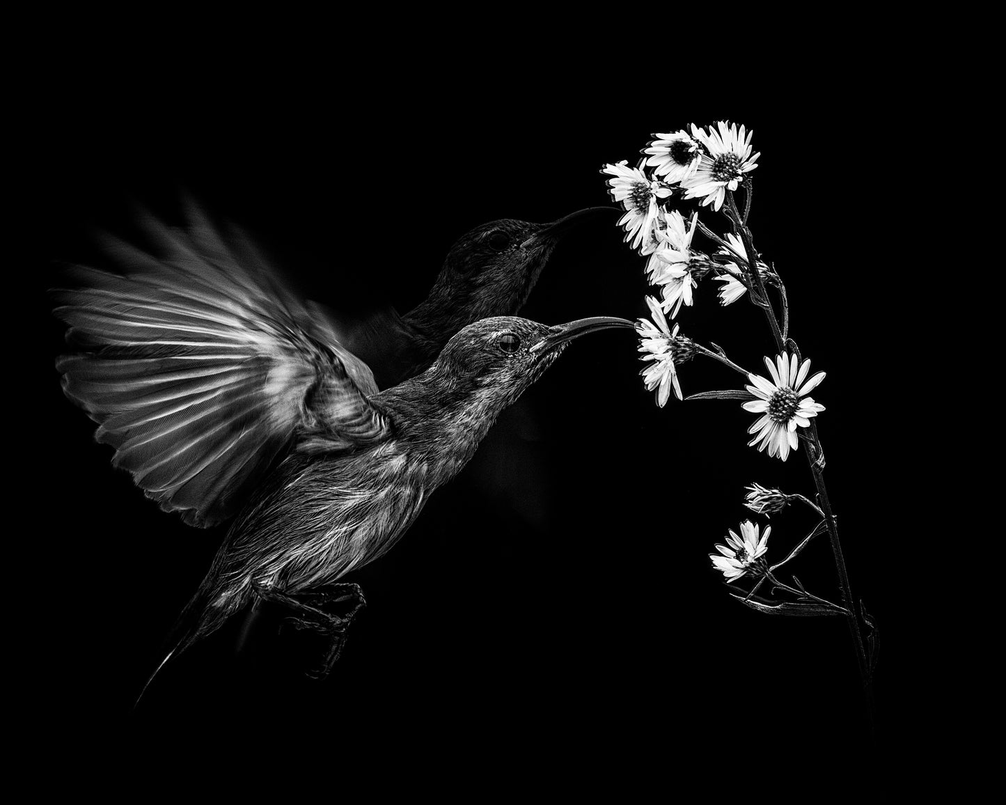 Motion