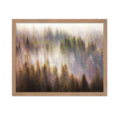 Enchanted Forest Glow