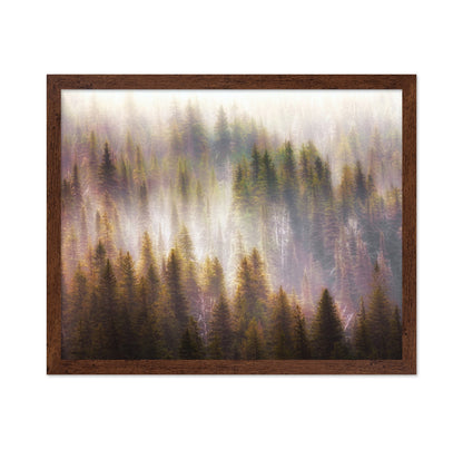 Enchanted Forest Glow