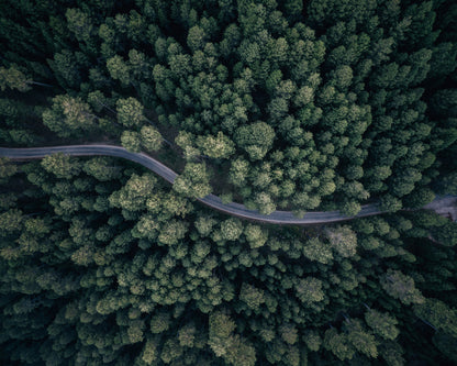 From Above
