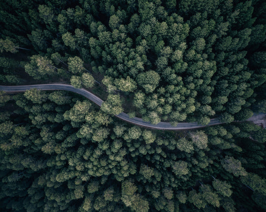 From Above