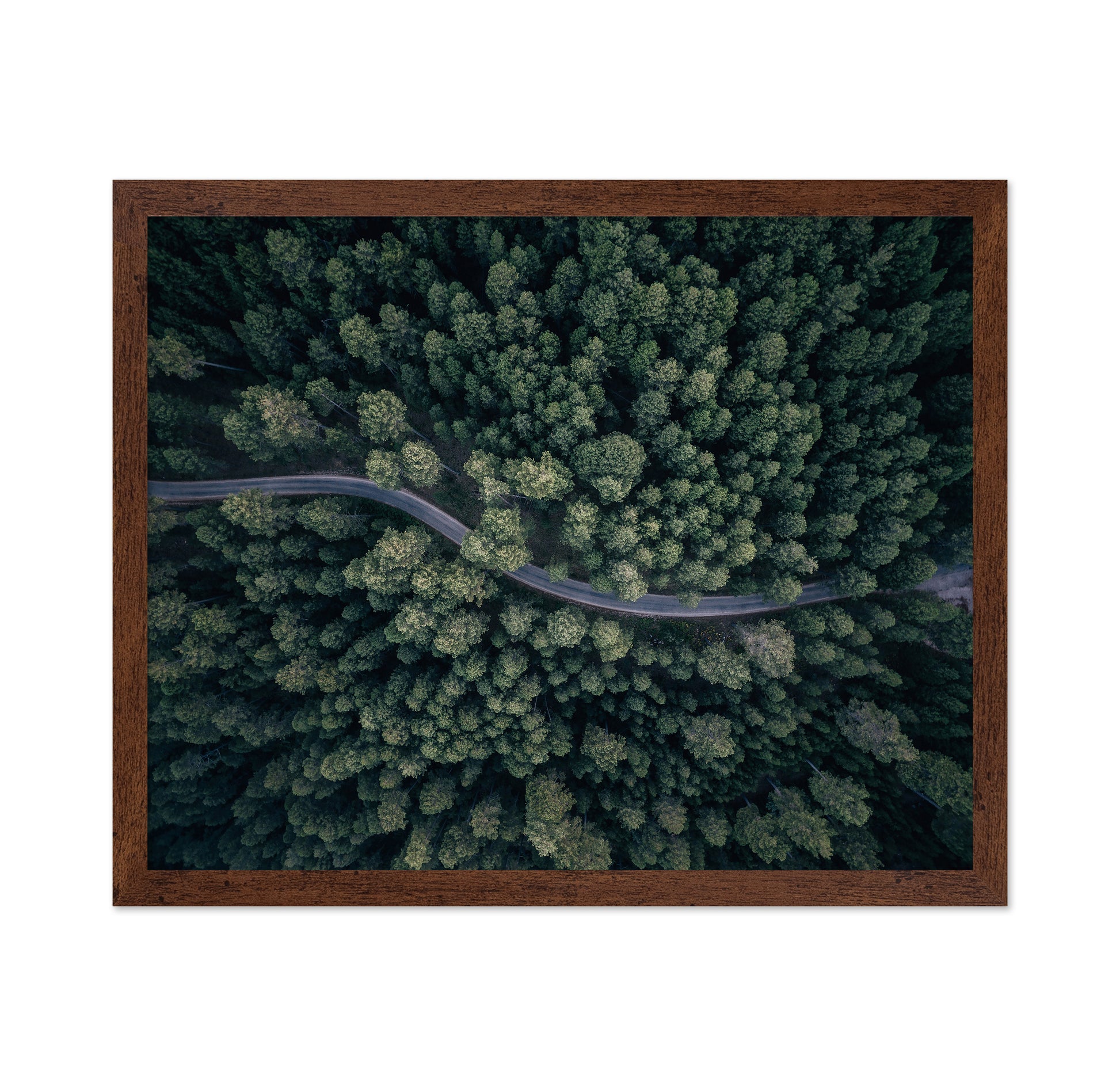 From Above
