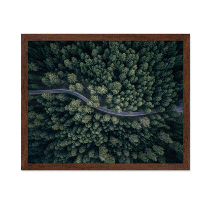 From Above