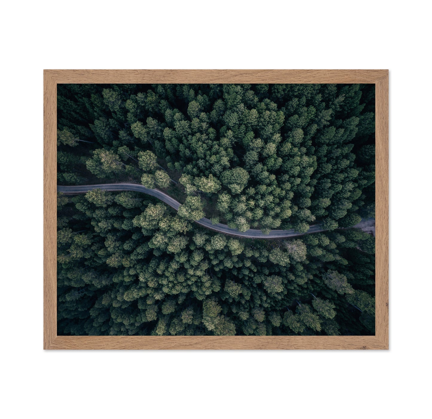 From Above