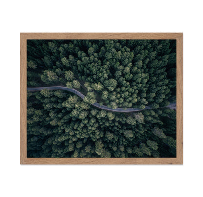 From Above
