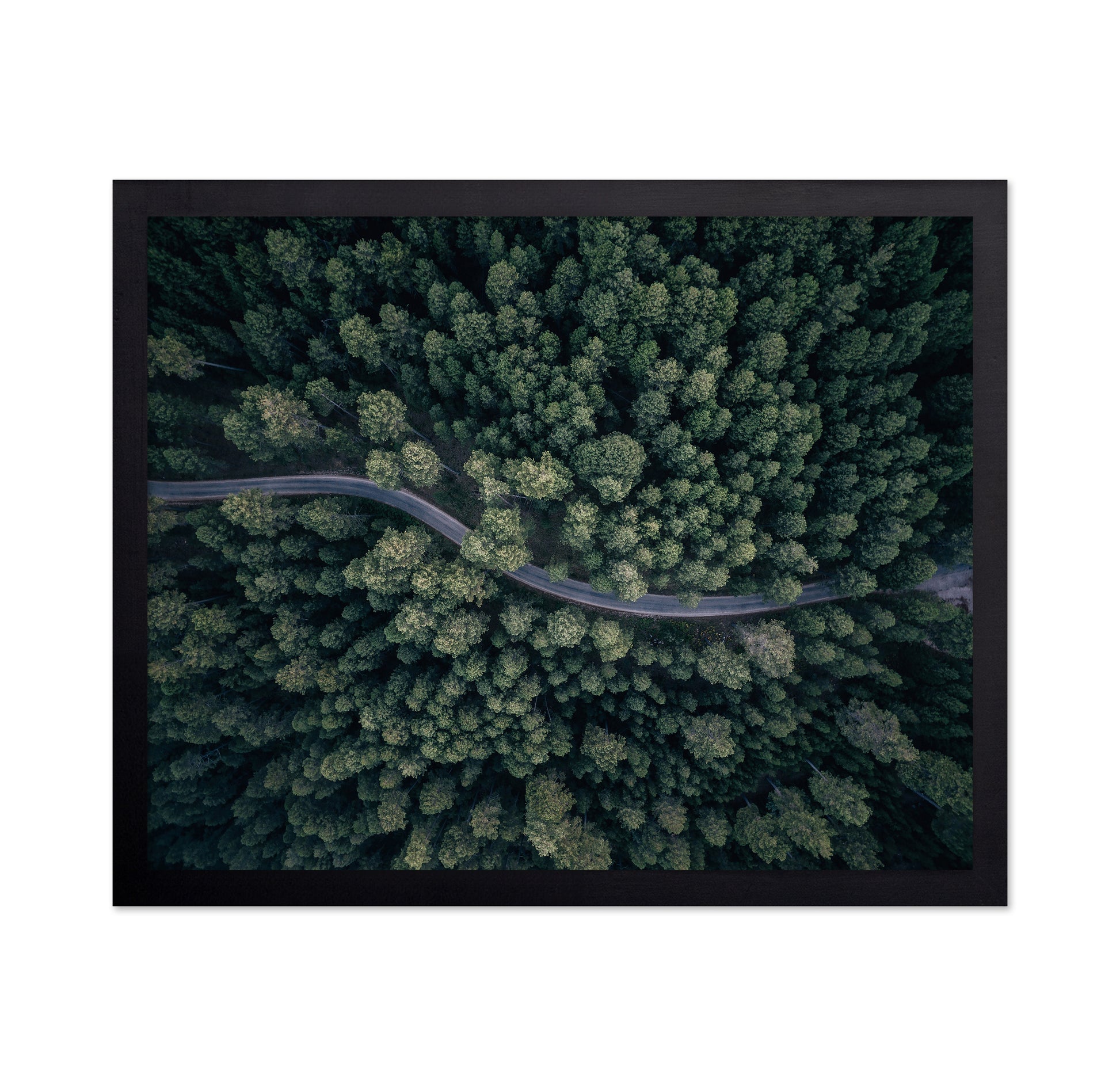 From Above