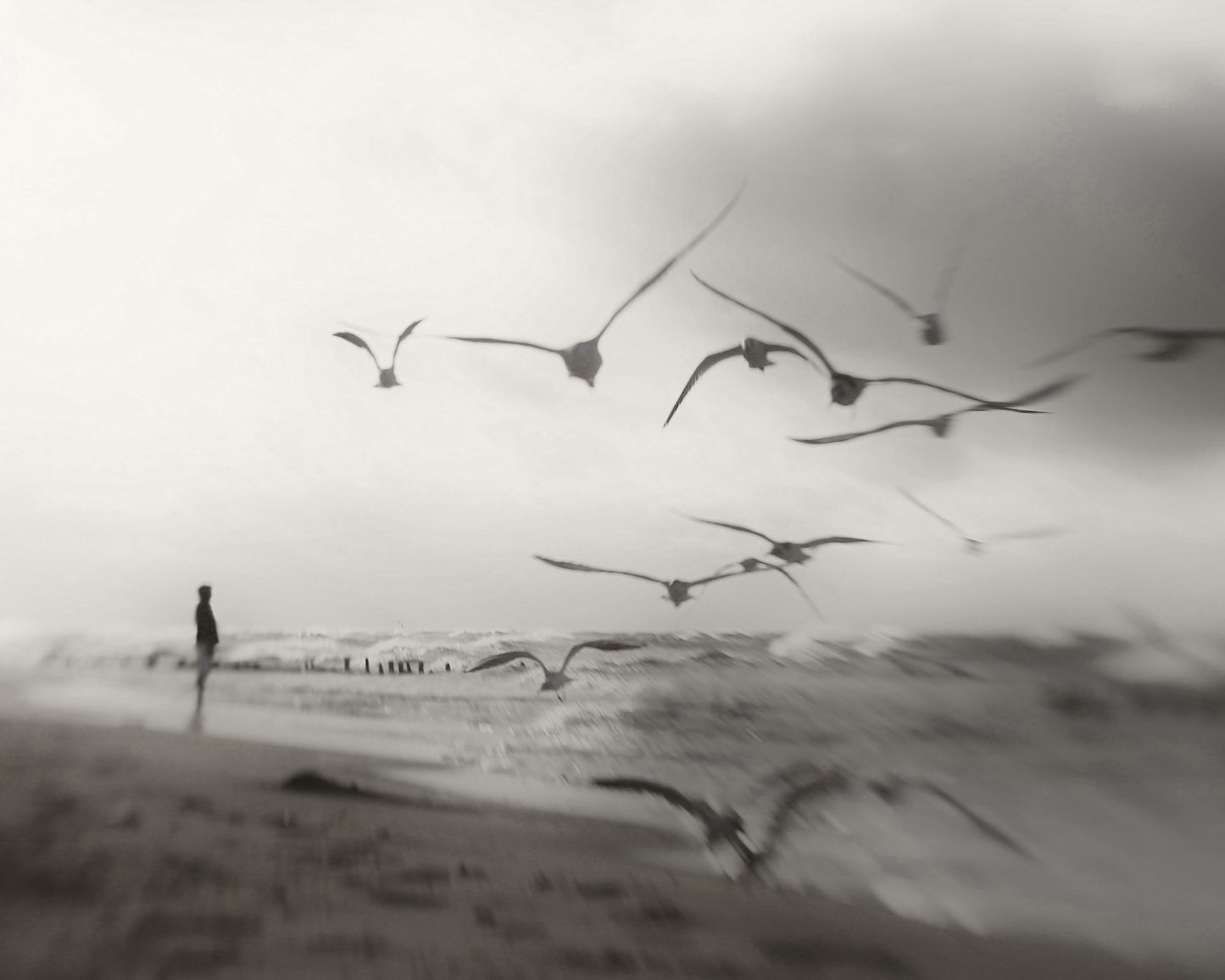 Quiet Dreams