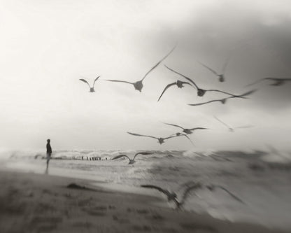 Quiet Dreams